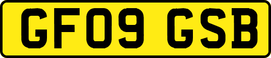 GF09GSB