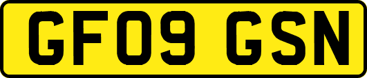 GF09GSN