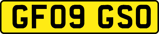 GF09GSO