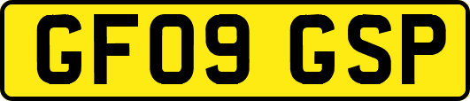 GF09GSP
