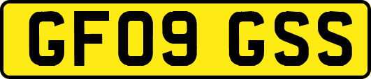 GF09GSS