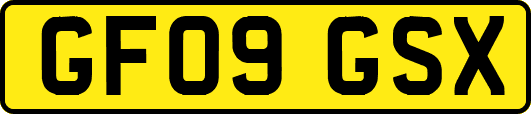 GF09GSX
