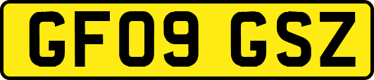 GF09GSZ