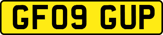 GF09GUP