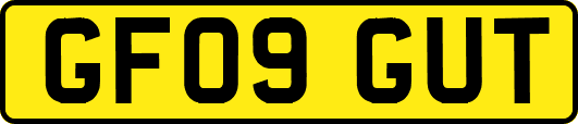 GF09GUT