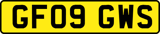 GF09GWS