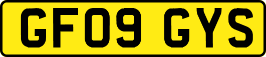 GF09GYS
