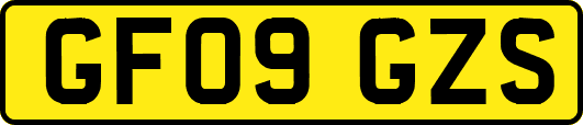 GF09GZS
