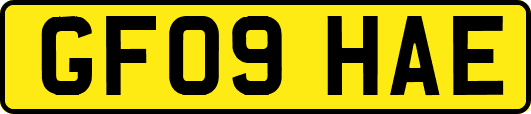 GF09HAE