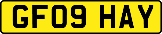 GF09HAY
