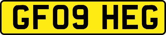 GF09HEG