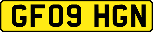 GF09HGN