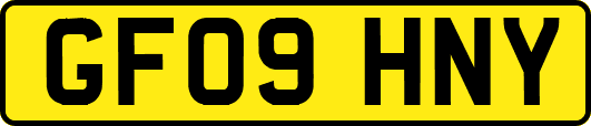 GF09HNY
