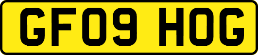 GF09HOG