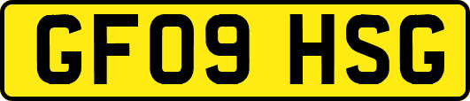 GF09HSG