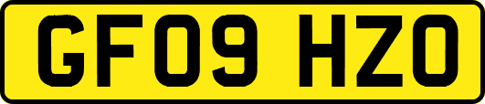 GF09HZO