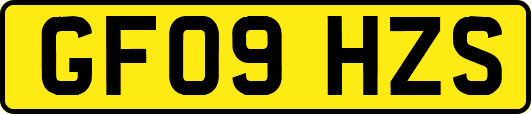 GF09HZS
