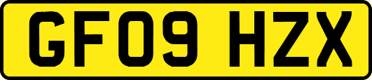 GF09HZX