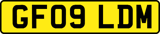 GF09LDM