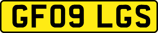 GF09LGS