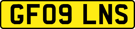 GF09LNS
