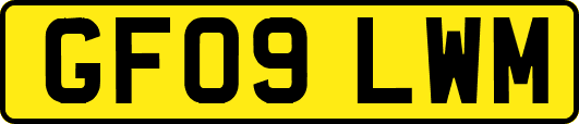GF09LWM