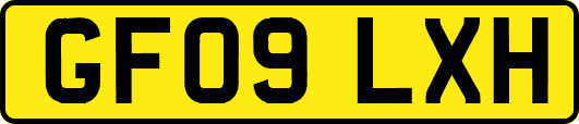 GF09LXH