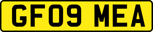 GF09MEA