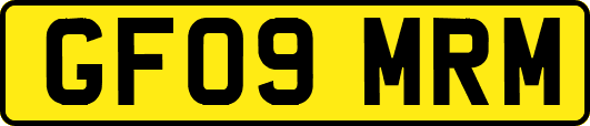 GF09MRM