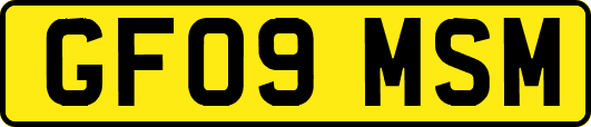 GF09MSM