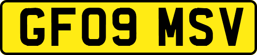 GF09MSV