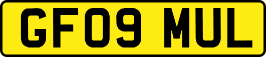 GF09MUL