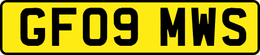 GF09MWS