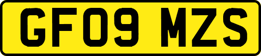 GF09MZS