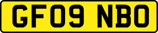 GF09NBO