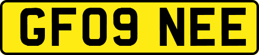GF09NEE