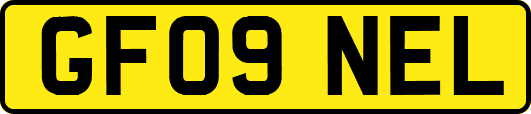 GF09NEL
