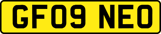 GF09NEO