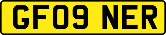 GF09NER