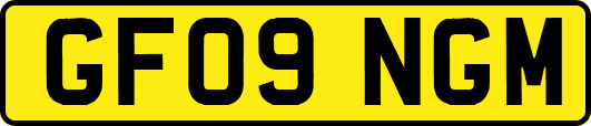 GF09NGM