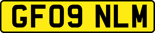 GF09NLM