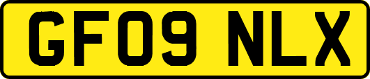 GF09NLX