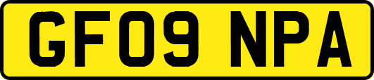GF09NPA
