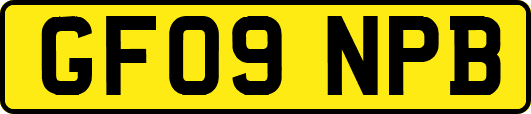 GF09NPB