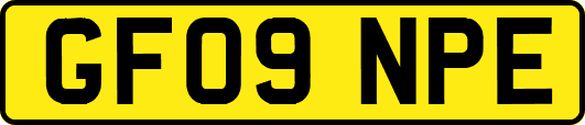 GF09NPE