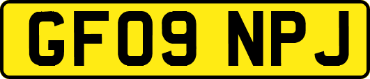 GF09NPJ