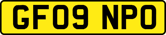 GF09NPO