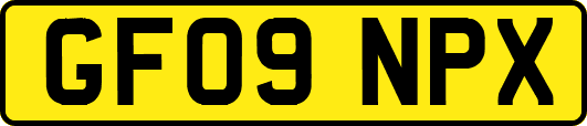 GF09NPX