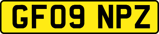 GF09NPZ