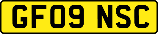 GF09NSC
